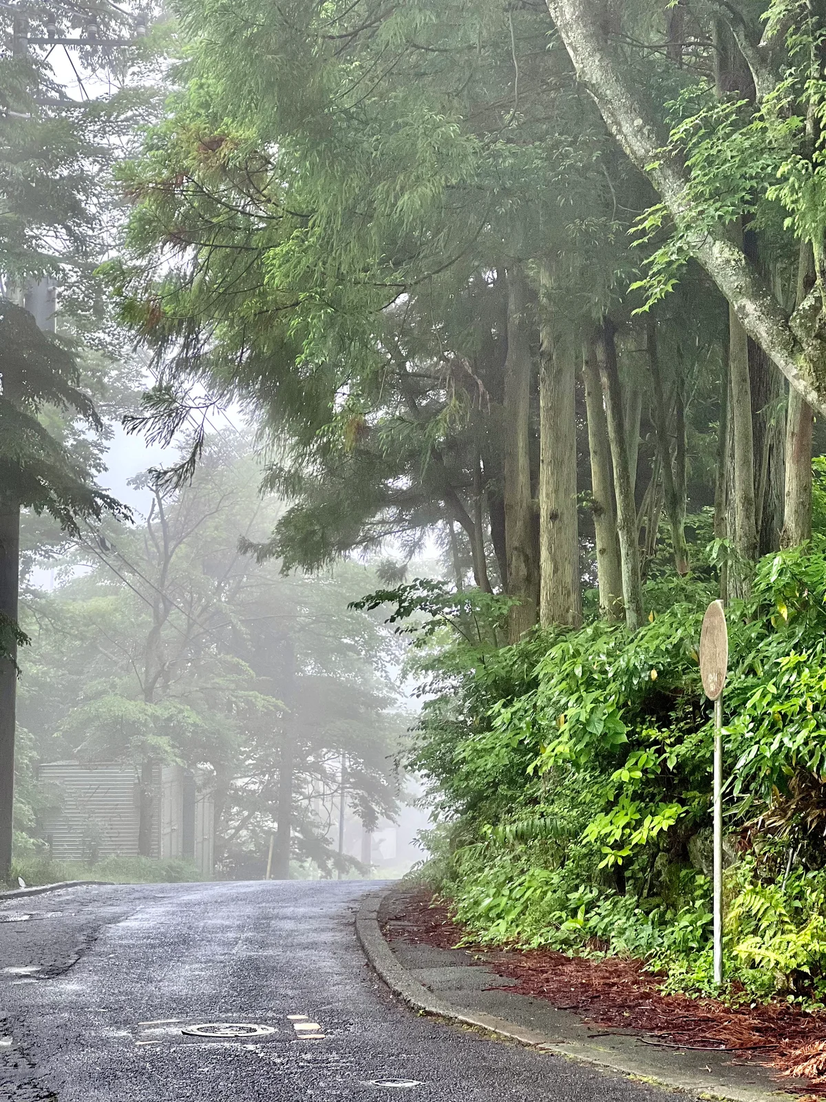 Image of Hakone - Beauti... travel plan