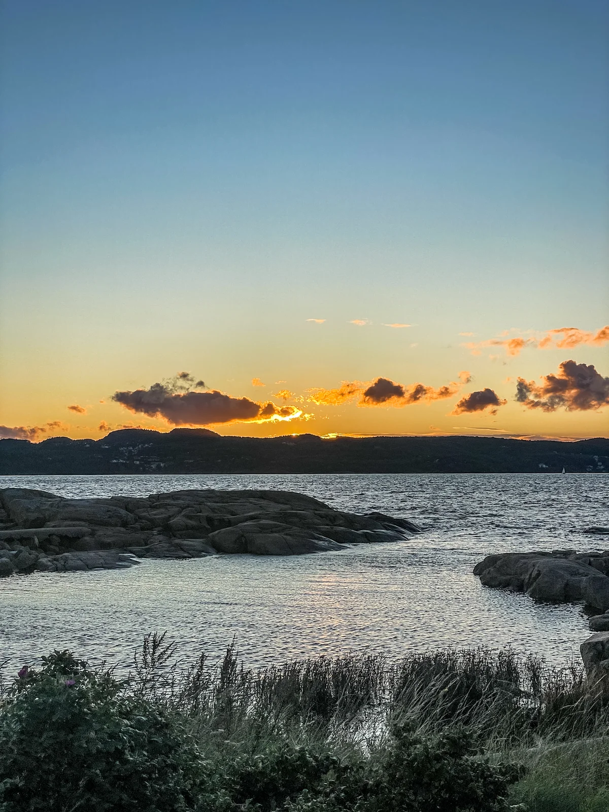 Image Larvik