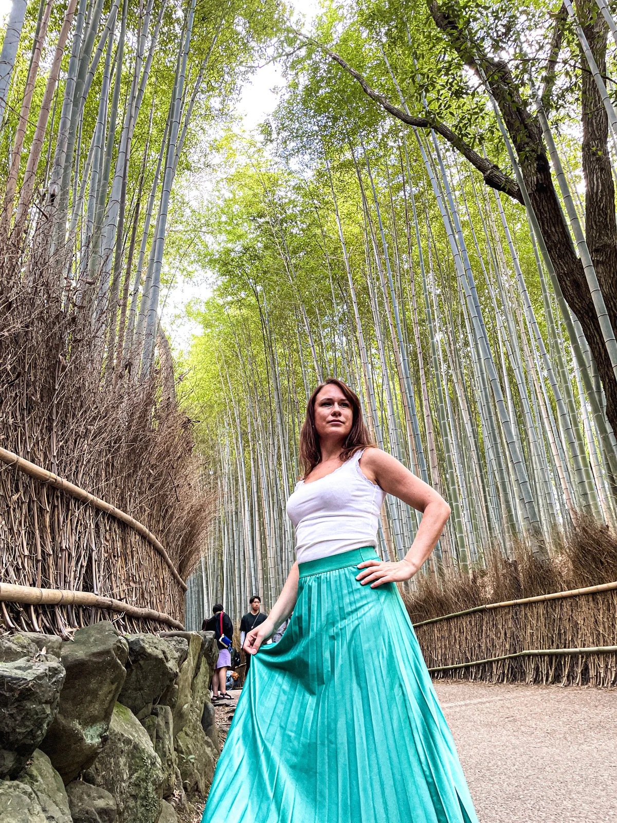 Image Arashiyama bamboo grove - Tenryu-ji temple - Kinkaku-Ji temple