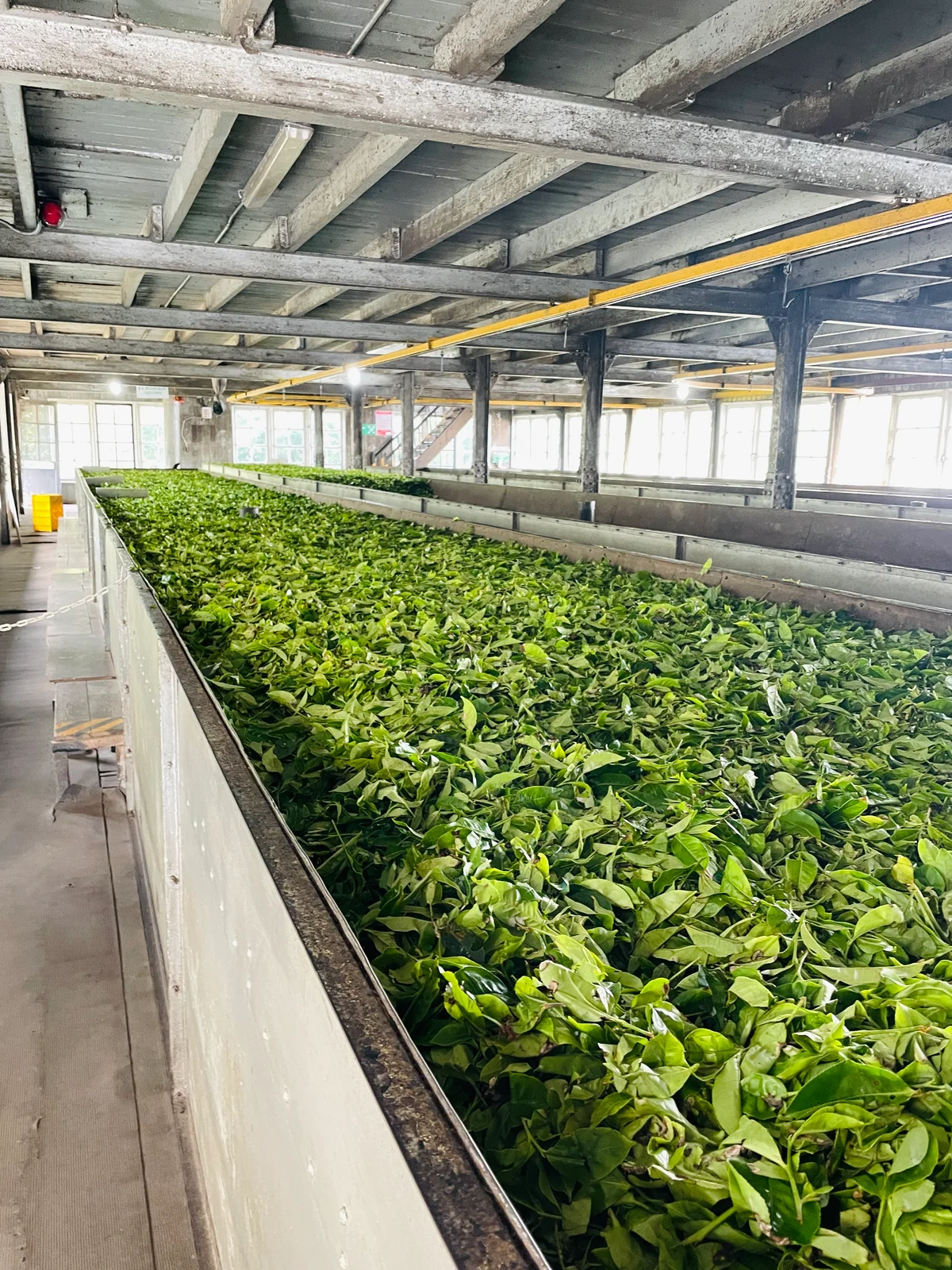 Image Labookellie Tea Lounge - Tea Factory, plantation, and shop