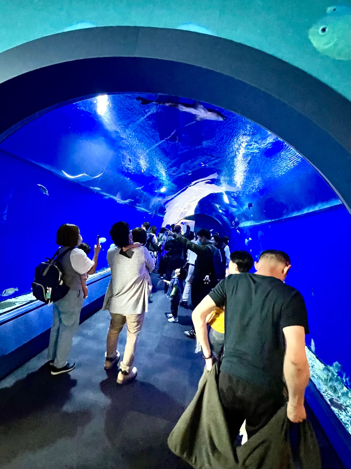 Image Umeda Sky Building and Osaka Aquarium Kaiyukan