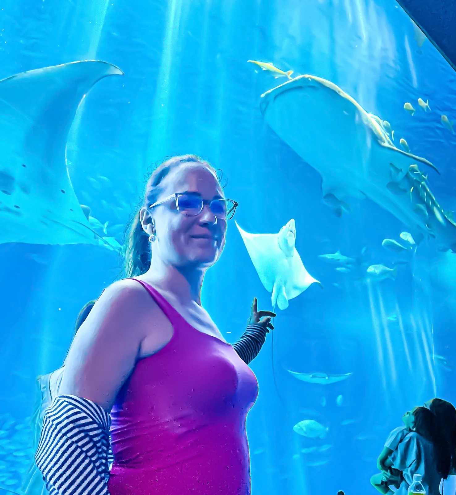 Image Okinawa Churaumi aquarium