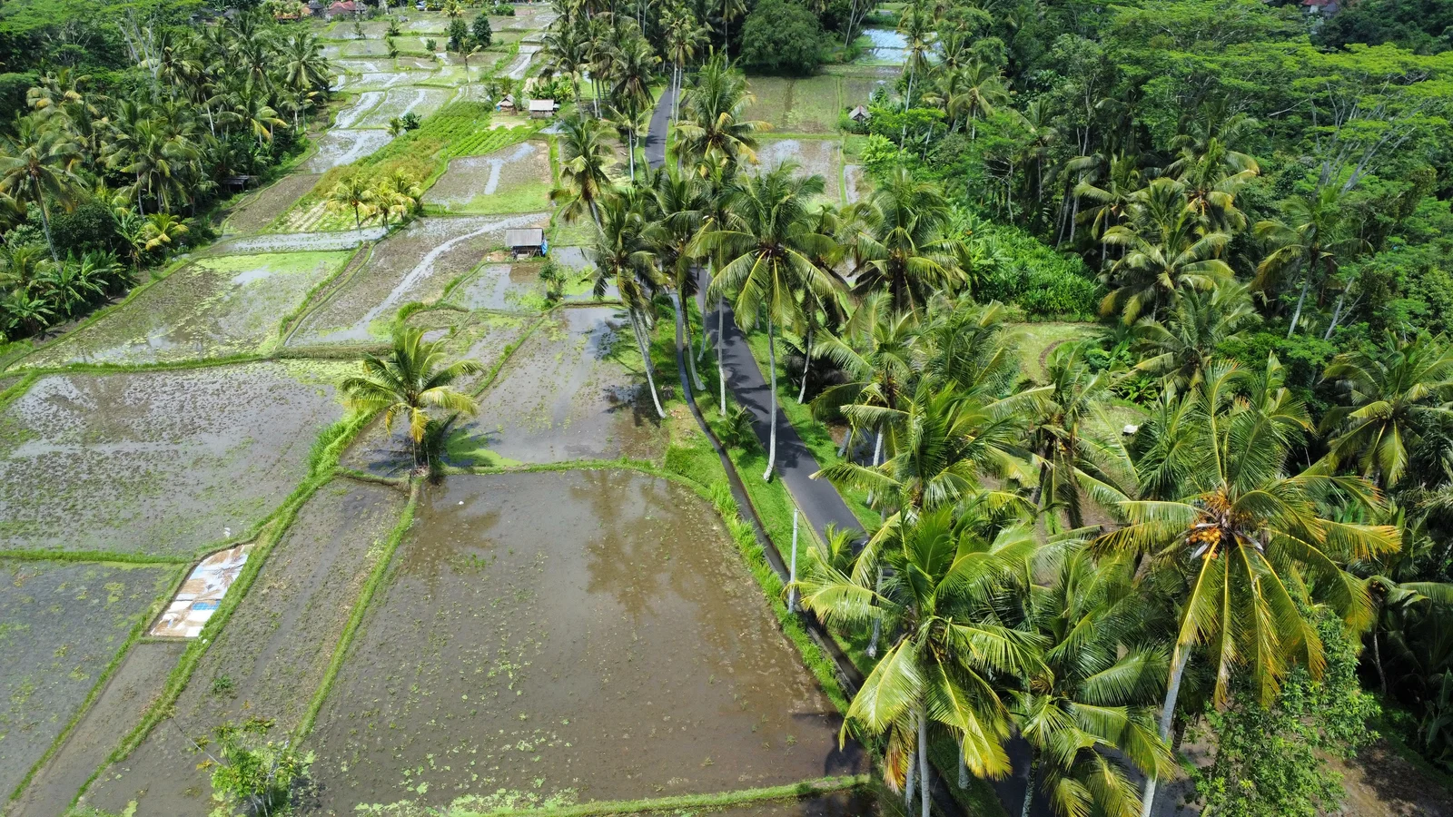 Image Northern Bali (1-2 days)