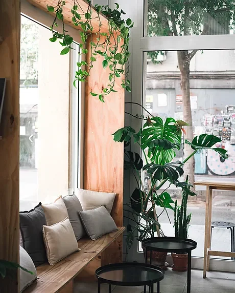 Image Oma Bistró Café 🌿